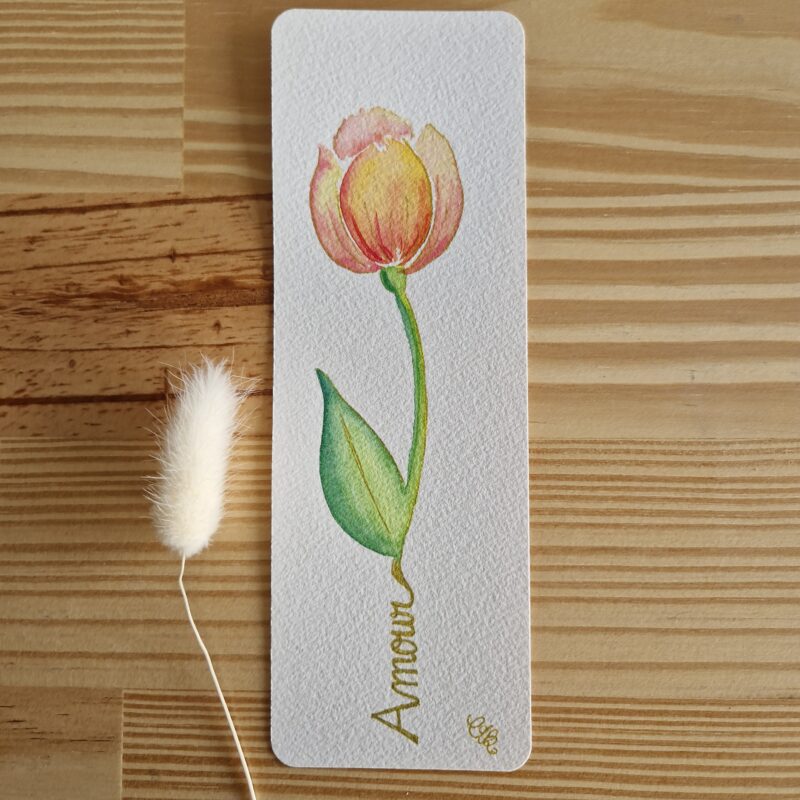 Tulipe
