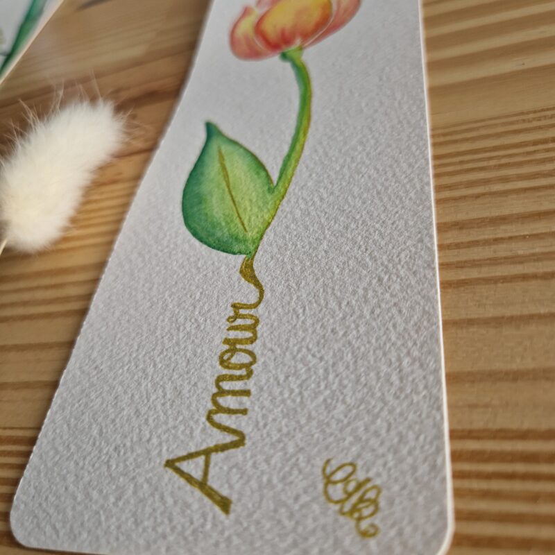 Tulipe – Image 4