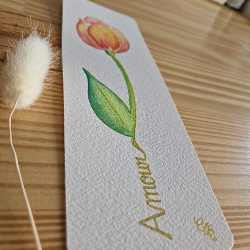 Tulipe – Image 2