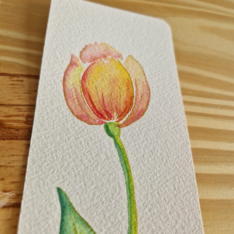 Tulipe – Image 3